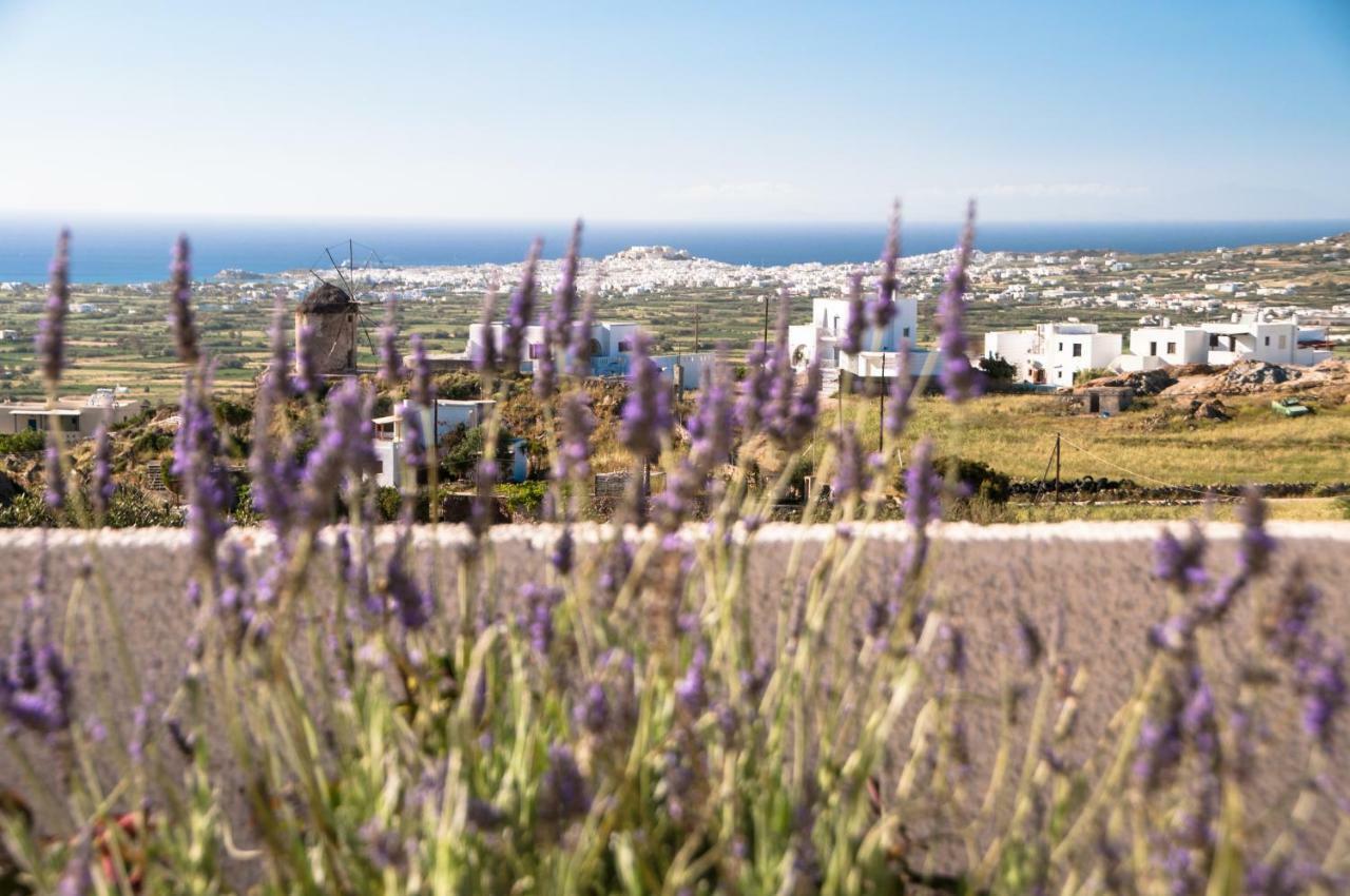 Apartament Naxos View Glinado Naxos Zewnętrze zdjęcie