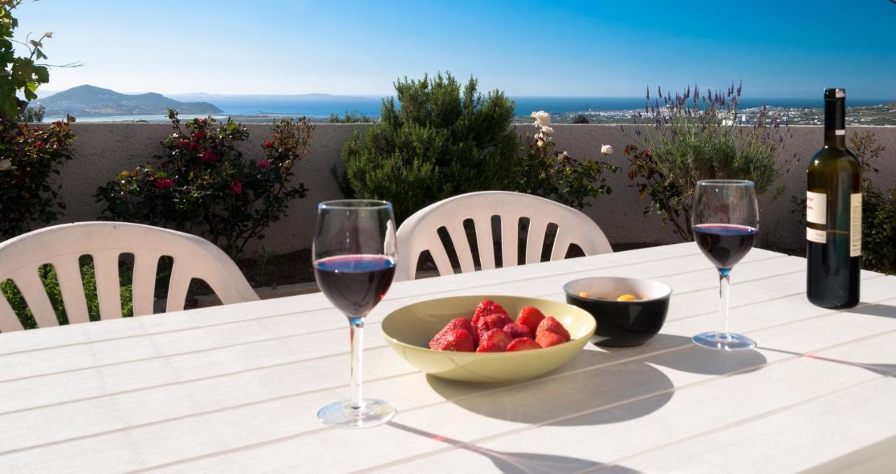 Apartament Naxos View Glinado Naxos Zewnętrze zdjęcie